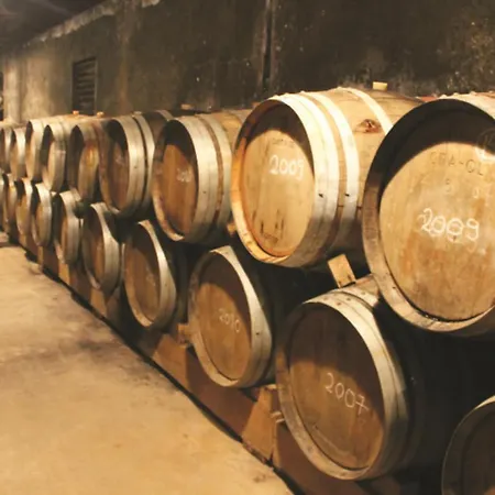 Villa Santa Efigenia